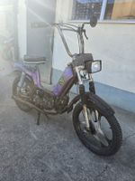 Mofa CILO