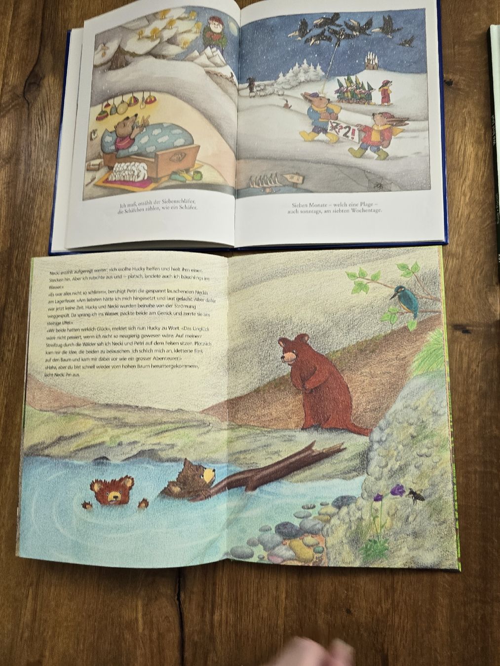 Livres: bücher set – D'occasion à Wittenbach par Tigerlili 4