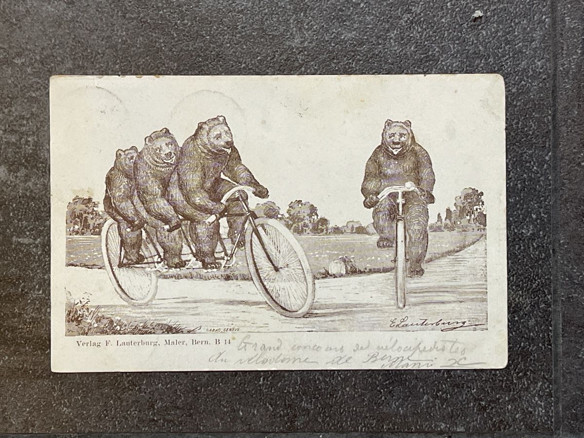 Cartoline postali: Ansichtskarte Bären Fahrrad Bern CH – Usato da Strengelbach venduto da Aschatan5