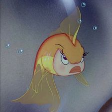 Profile image of ana_nz76