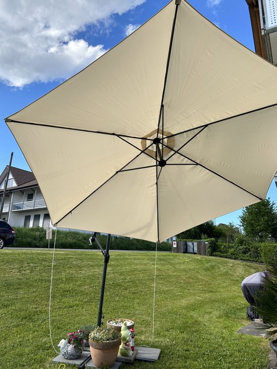Sonnenschirm Kaufen auf Ricardo