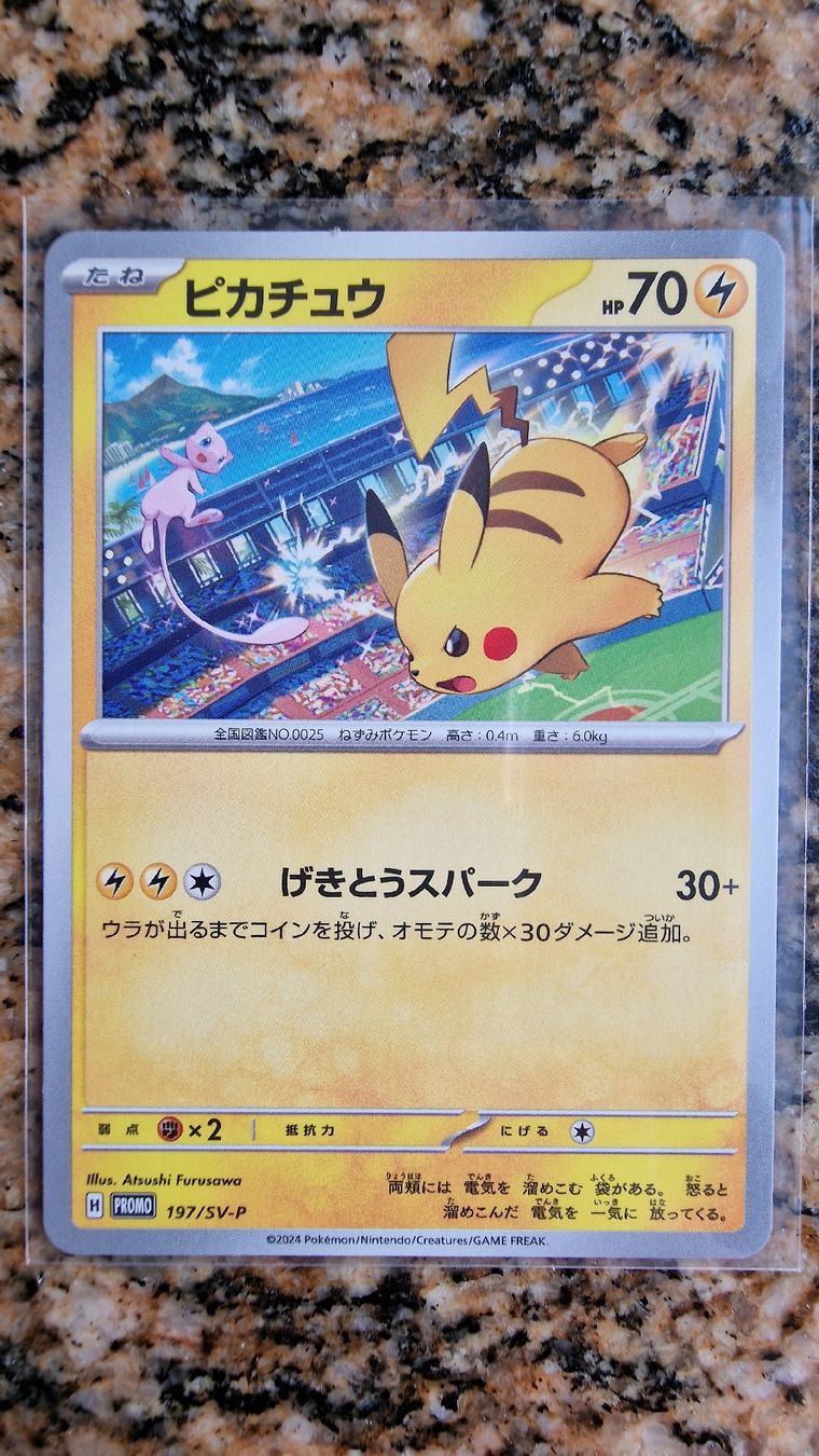 exp share pokemon card gold Pokémon Illustration Contest 2024 Bundle (Japan) – PokePlugZa main image 1