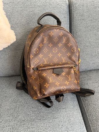 Louis Vuitton Palm Springs PM