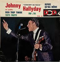 JOHNNY HALLYDAY - CONCERT DE ROCK EN PUBLIC