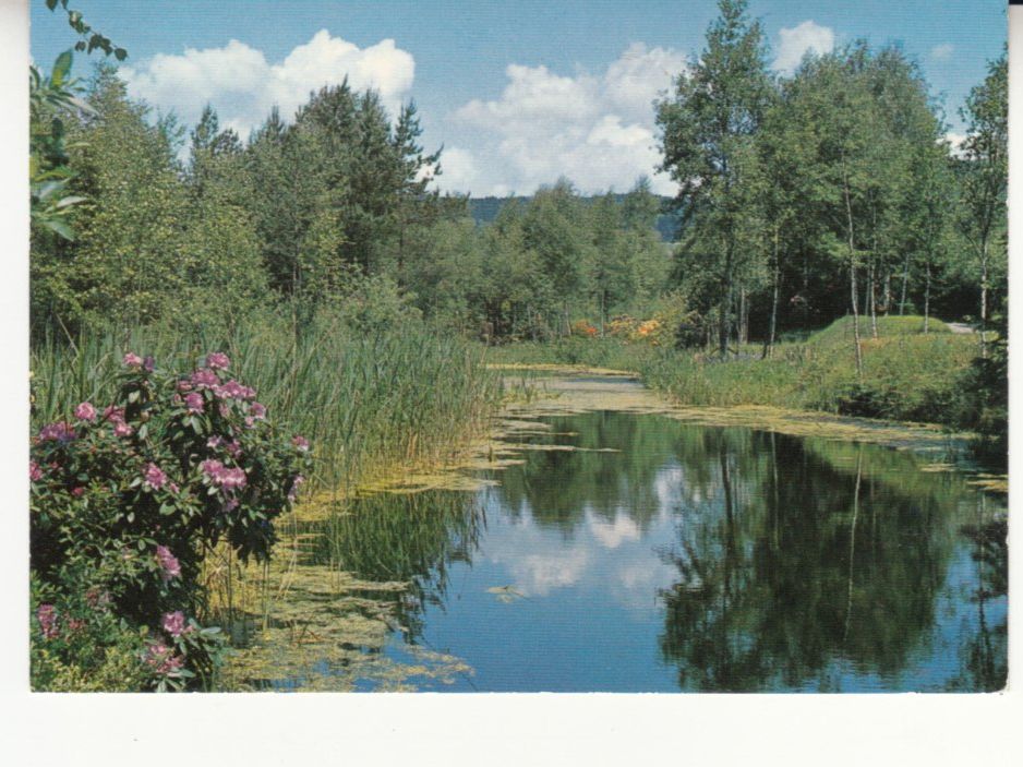 Ansichtskarten: Rifferswil Seleger Moor 1969 – Gebraucht aus Bürglen TG von StampGraf
