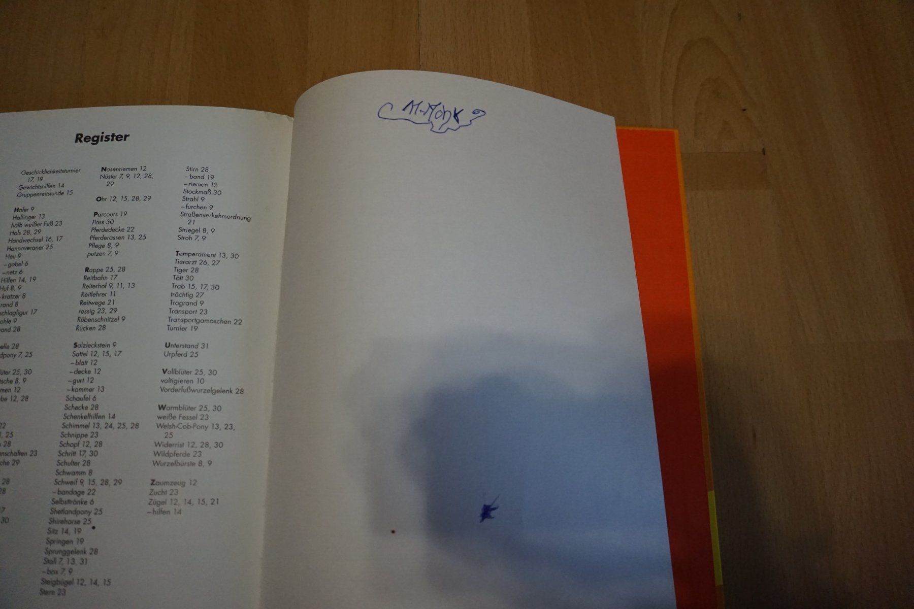 Libri: Kinderbuch "Pferde" - Erstes Wissen – Usato da Zürich venduto da einalemjena 2