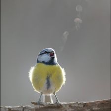 Profile image of mat_xnd5