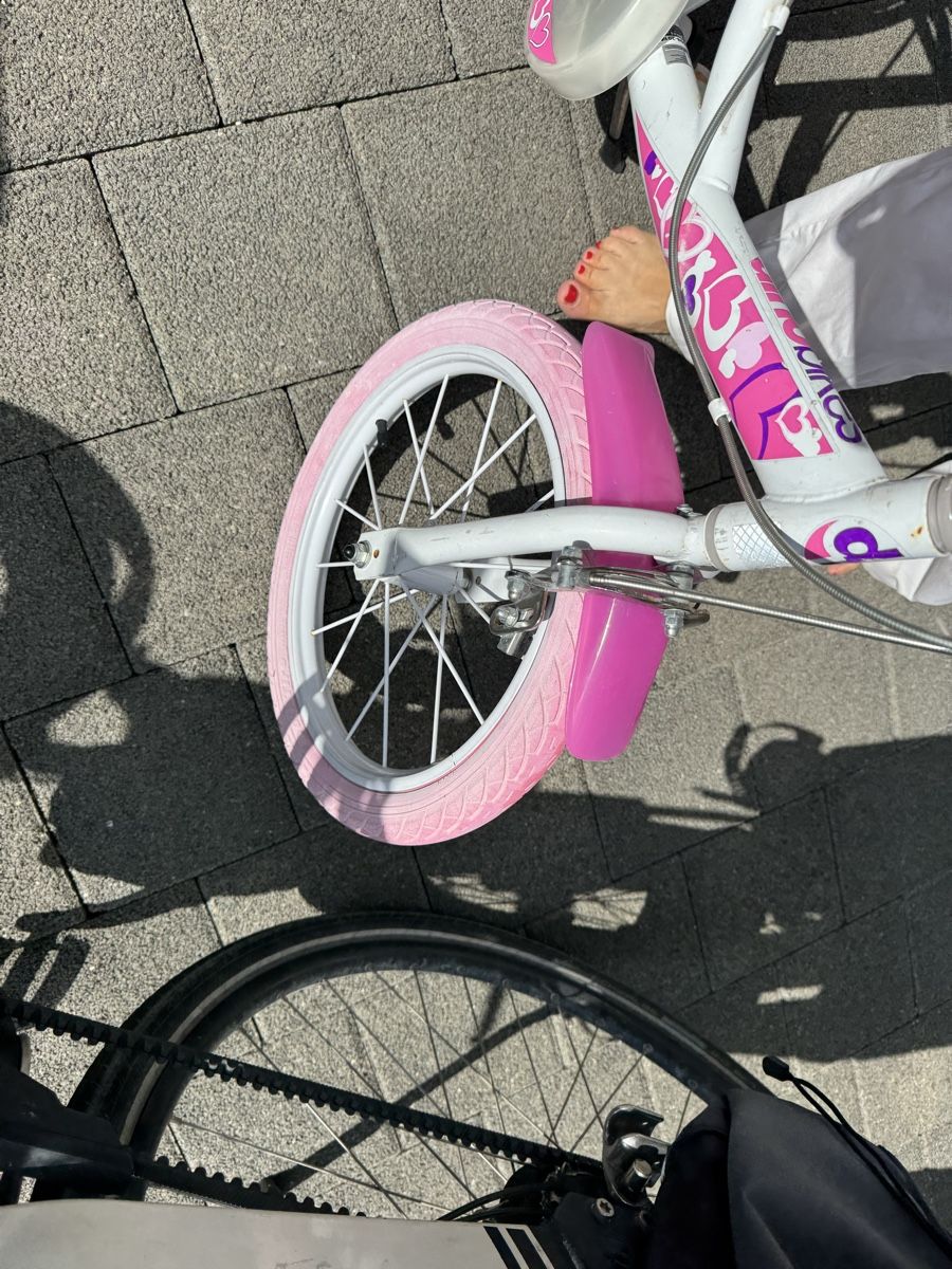 Biciclette: Kinder velo – Usato da Unterengstringen venduto da eno_7vwt 5