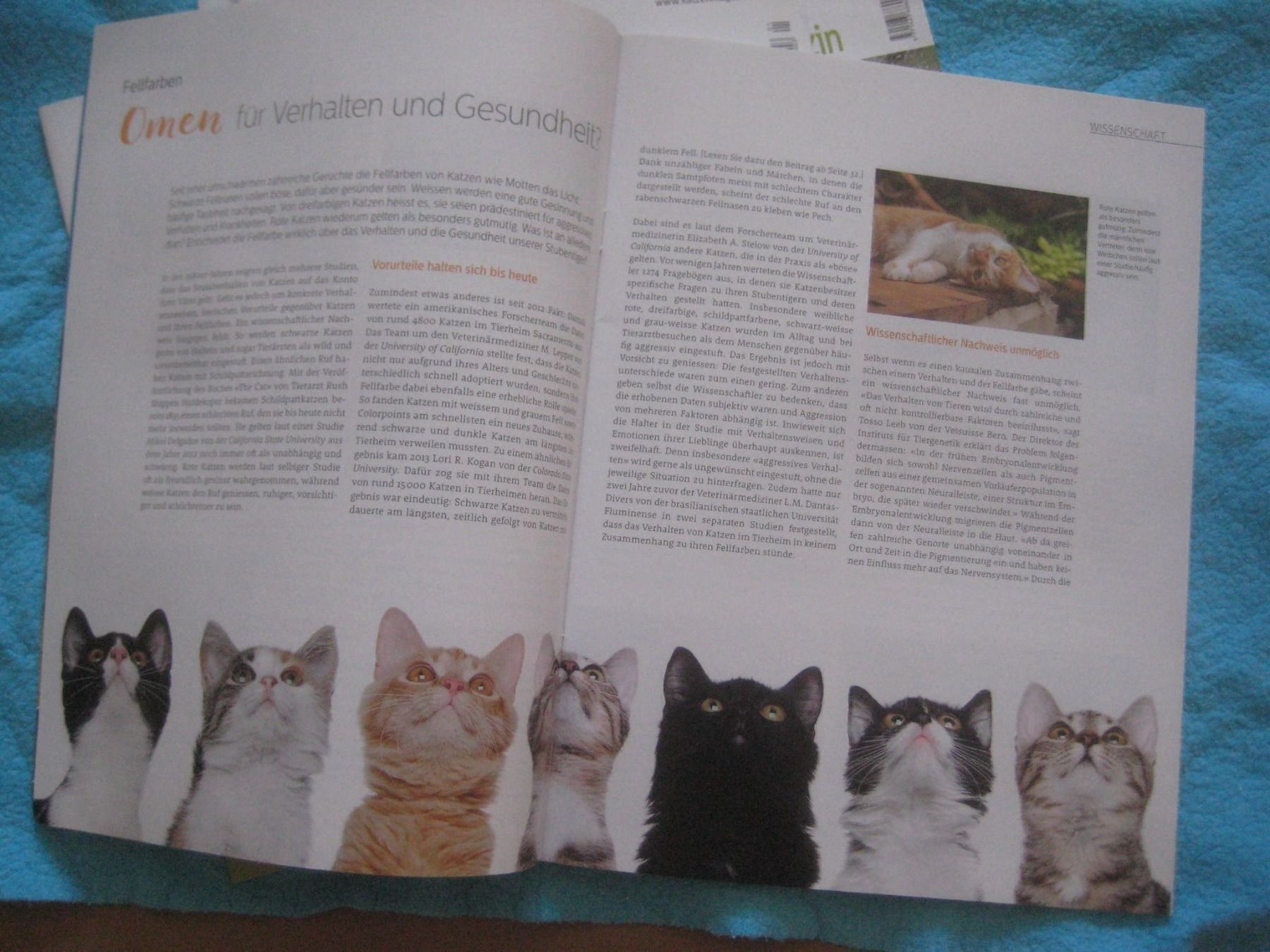 Riviste & Magazine: KATZEN HEFTEN  MAGAZIN – Usato da Uster venduto da flocke1 4