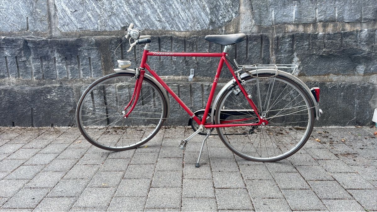 Peugeot Vélos: Velo Peugeot rot – Défectueux à Doppleschwand par Denos
