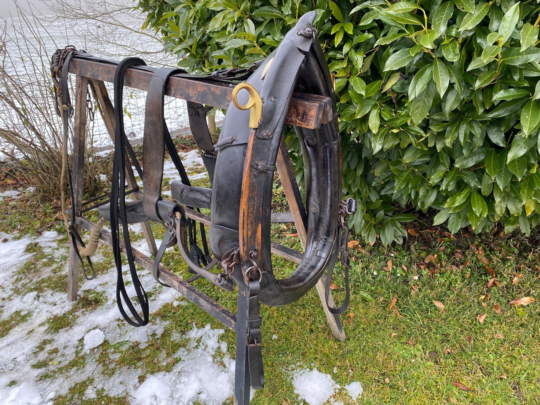 Campanacci mucche: schönes Spitzkummetgeschirr – Usato da Feldbach venduto da Fea1 6