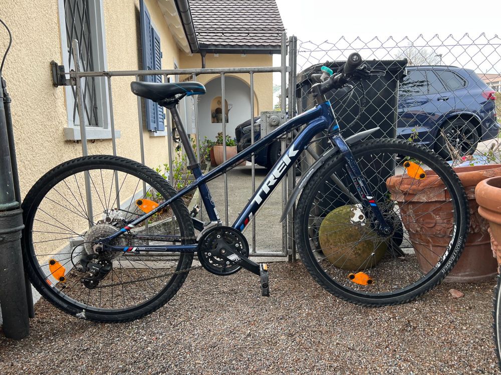 SCool Xroc Disc Alloy 24R Kinder Mountainbike - 31cm, Grün, 8-Gang