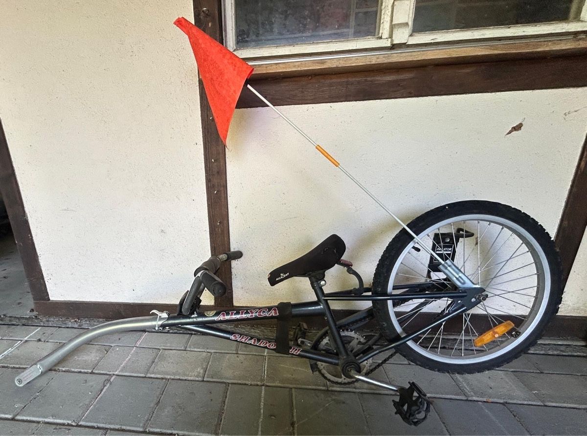 Velos: Schattenvelo Allycat – Gebraucht aus Jegenstorf von Bahnhofshallenkiosk 1