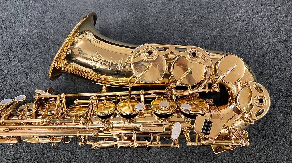 Alt-Saxofon Selmer SA-80 in Goldlack (Gebraucht) in Olten für CHF 3790 ...