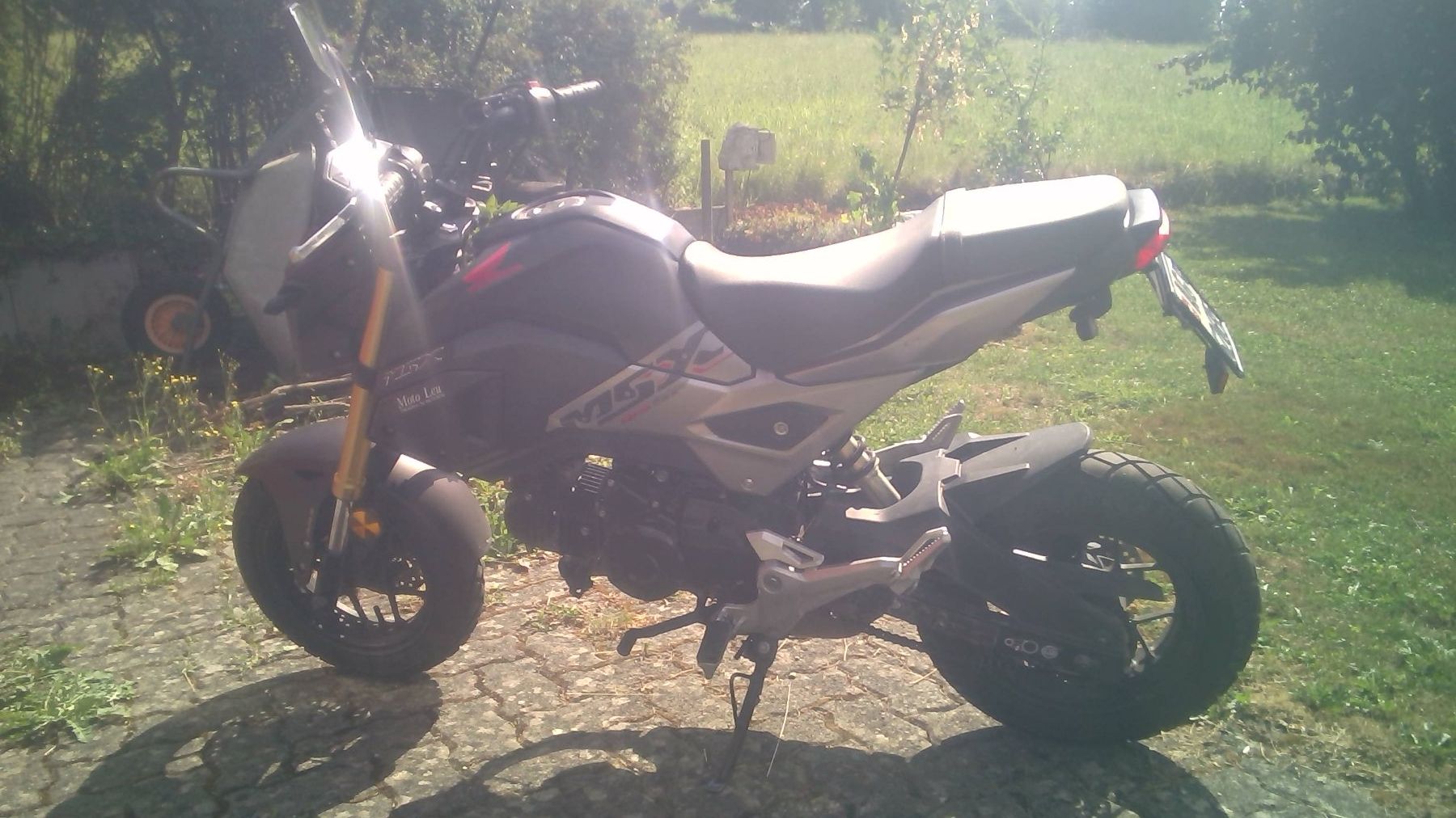 Honda Route: Honda msx – D'occasion à Vordemwald par piu_558c 6