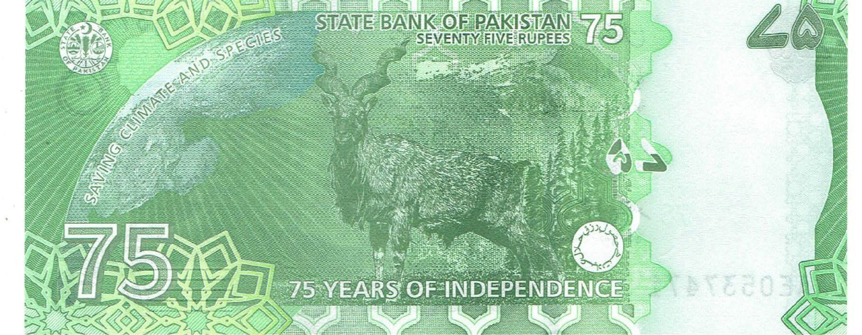 Banknoten: Pakistan 75 Rupees grüne Ausgabe 2023 COMM.UNZ – Neu (gemäss Beschreibung) aus Steffisburg von ber_8htf 1