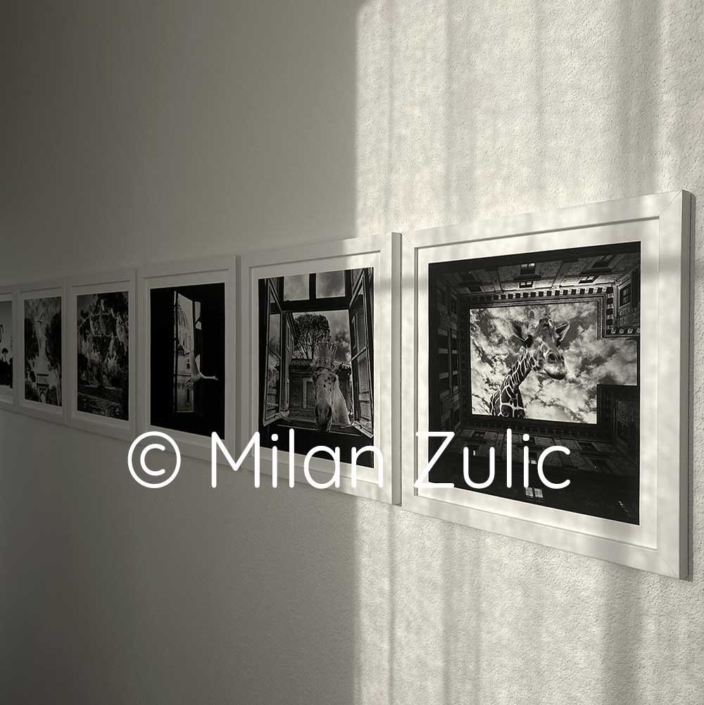 Foto & Immagini: Travel postcards 013 – Nuovo (secondo la descrizione) da Uetikon am See venduto da mil_7k2b 6