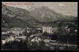 AK Meiringen, Hotel Sauvage