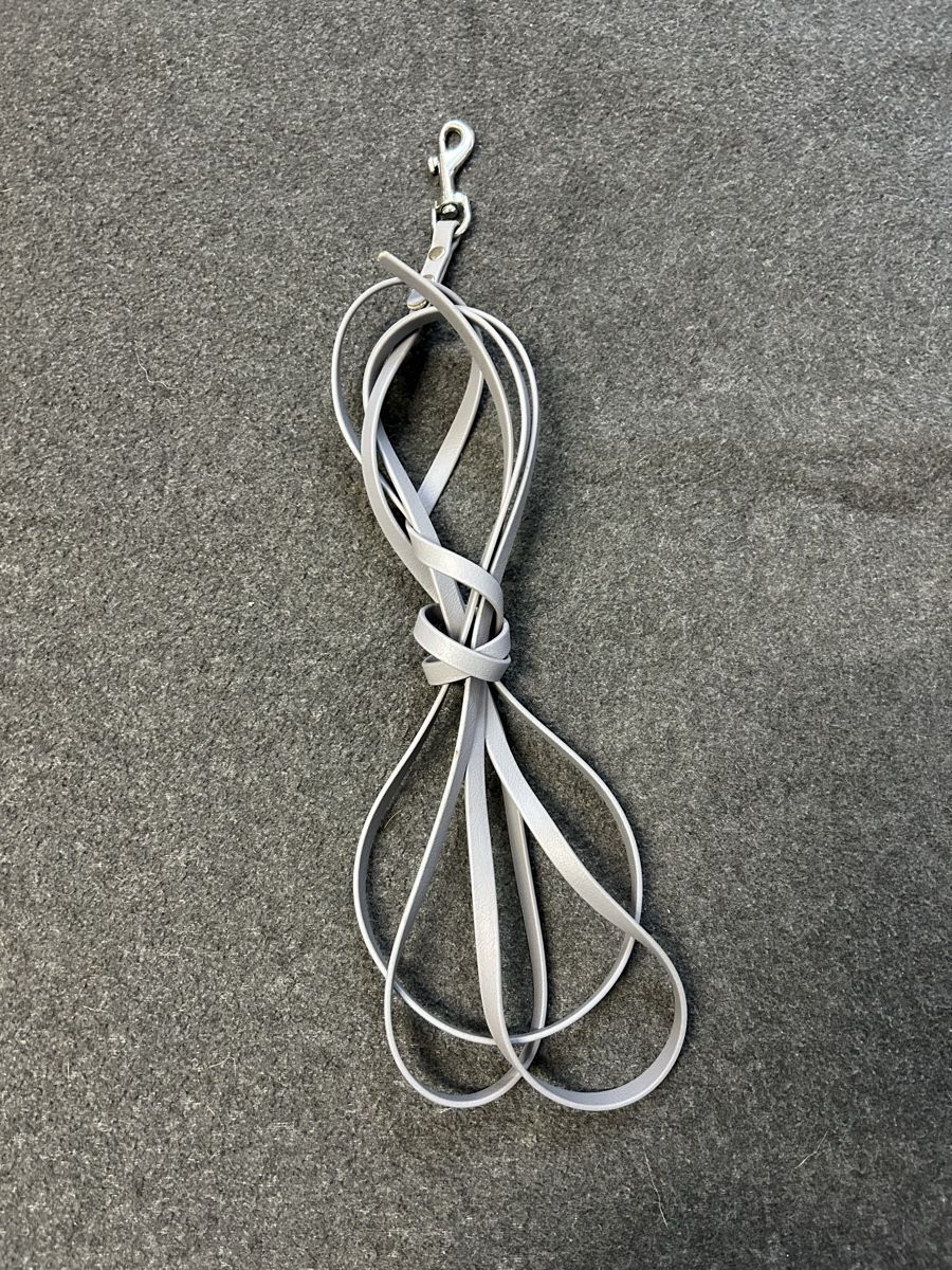 Leine & Halsband: BioThane Leine 9mm - Länge: 3 m grau – Gebraucht aus Orpund von dionaea14 2