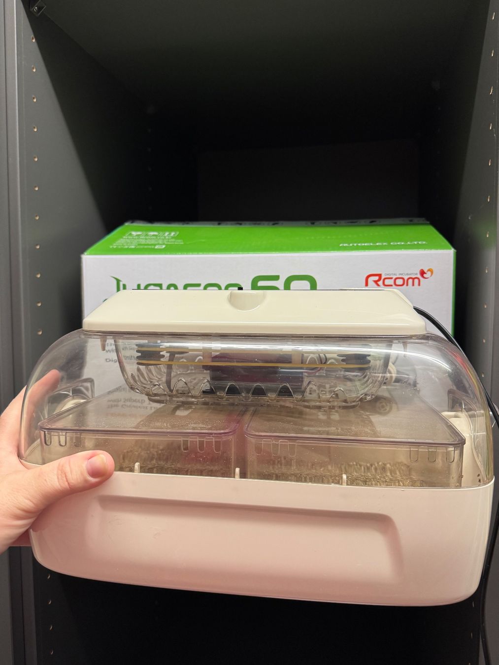 Altro in Accessori per animali: Juragon Reptile Incubator – Nuovo (secondo la descrizione) da Meierskappel venduto da aemkeii 3