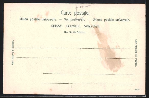Cartes postales: Meiringen, Ortsansicht aus der Vogelscha – D'occasion à Berlin par bartko-reher 1