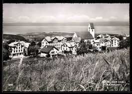 AK Wolfhalden /App., Ortspartie mit Kirche und Bodensee