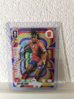 Panini Fifa World Cup 2026 - Williams Limited Edition LE
