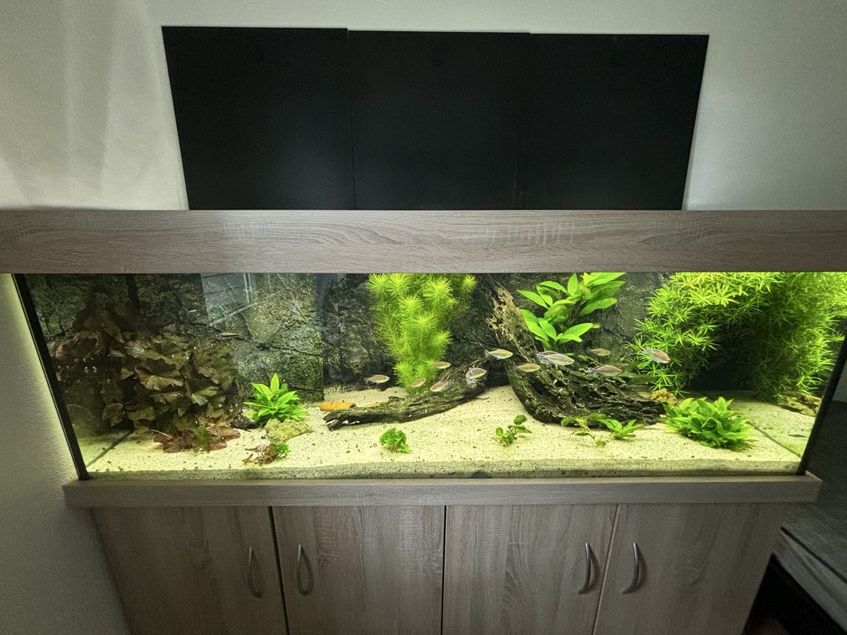 Aquarium: 600 l Aquarium Mit GHL system – D'occasion à Binningen par lor_75yl 1