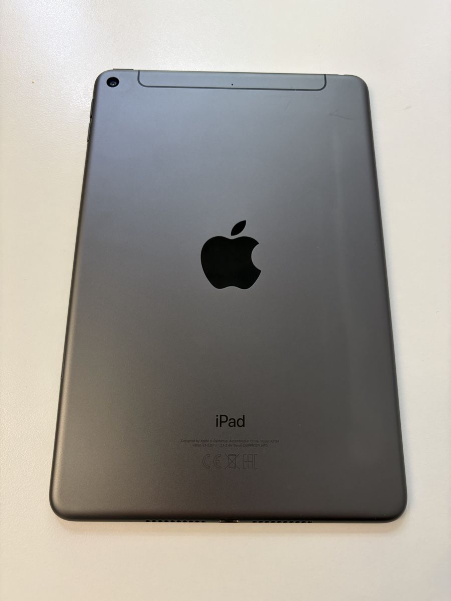Apple Tablet PC: iPad Mini 5 256GB WiFi & Cellular Space Grey – Usato da Zürich venduto da dan_dy2z 1