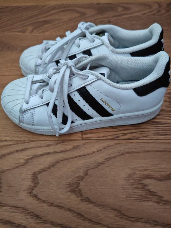 Adidas Scarpe da uomo: Adidas Superstar  – Usato da Münchwilen TG venduto da Model380 2