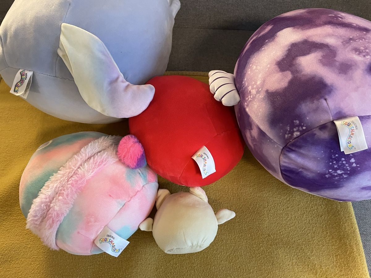 Squishmallows Spielzeuge: 5 Squishmallows Plüschtiere Set   – Gebraucht aus Niederbüren von Poschti_19 4