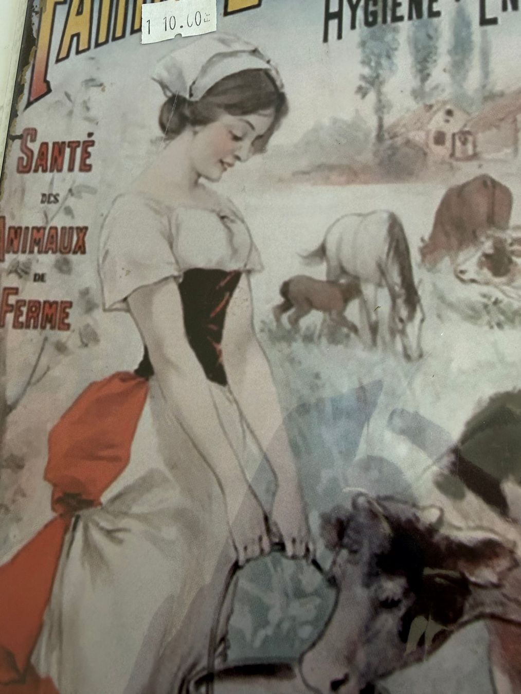 Insegne: Neu Schild 20 x 30 cm – Nuovo e nell'imballaggio originale da Kirchdorf AG venduto da coco123 1