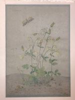 Dominique Madinier : Fleurs des champs (1998)