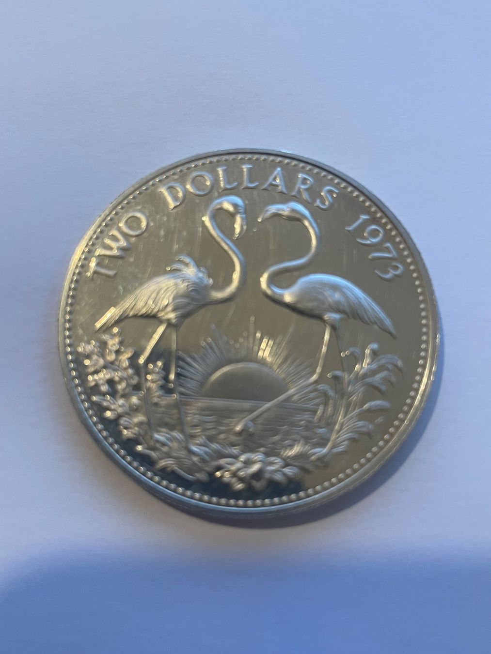 Tutti le monete: Silver coin Bahamas 2 dollars 1973 – Usato da Viganello venduto da rad_tt9y