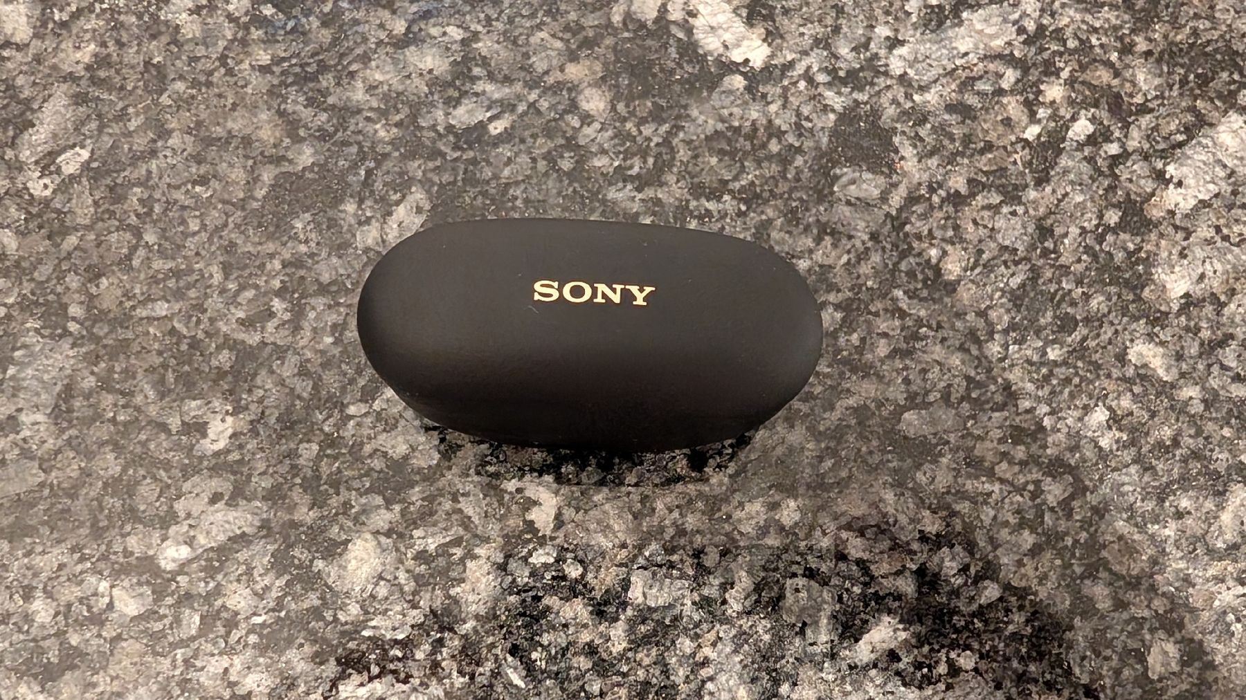 Sony Cuffie: Sony WF-1000XM5 – Usato da Zollikofen venduto da oyster_13