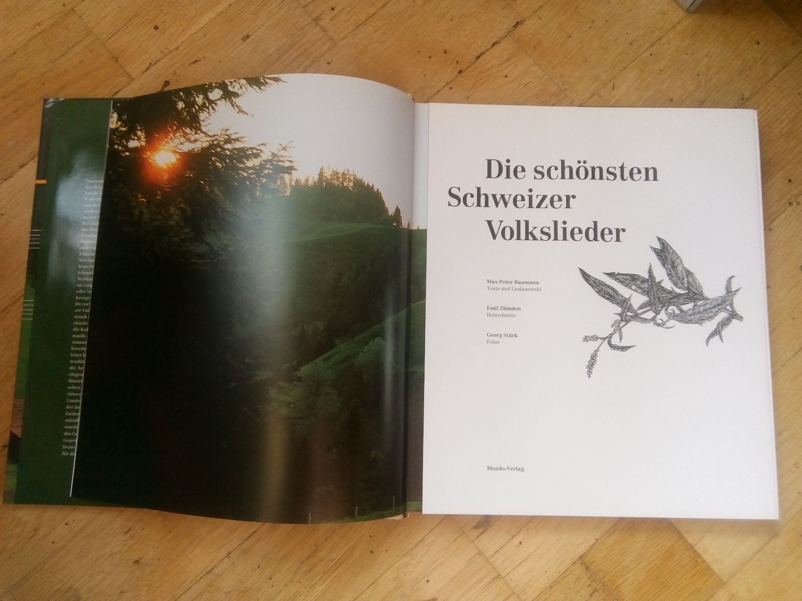 Libri: Die schönsten Schweizer Volkslieder (Max Peter Baumann) 1994 – Usato da St. Gallen venduto da elk2020 2