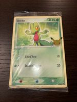 Carte Pokémon / Starter Carte Jumbo 25 ans Pokémon 