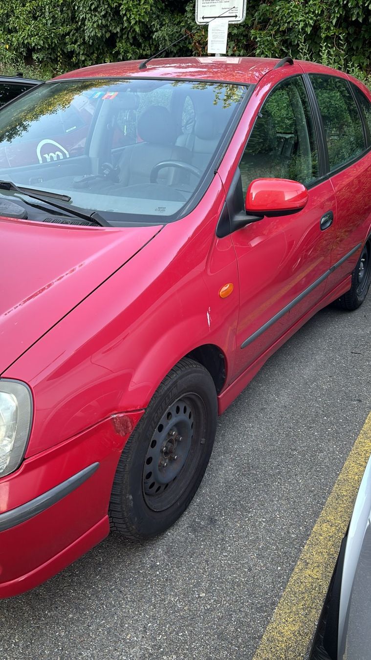 Nissan Automobili: Nissan Almera ab 1.- – Usato da Bülach venduto da GlasiCity8180 2