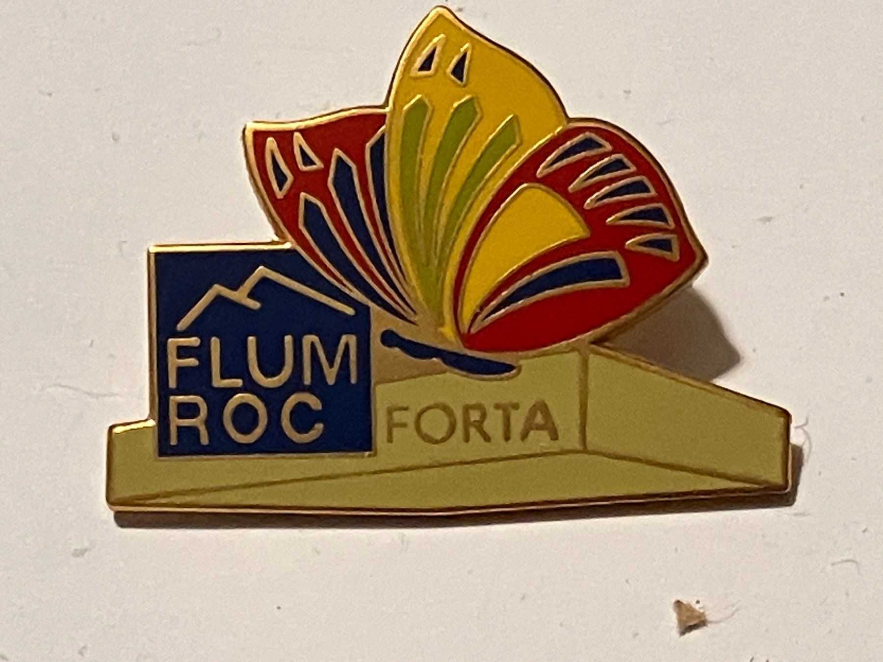 Placchette & Badge: 1 Pin Flumroc Forta – Usato da Basel venduto da djwwpp