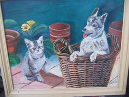 CHIEN DANS LA CORBEILLE