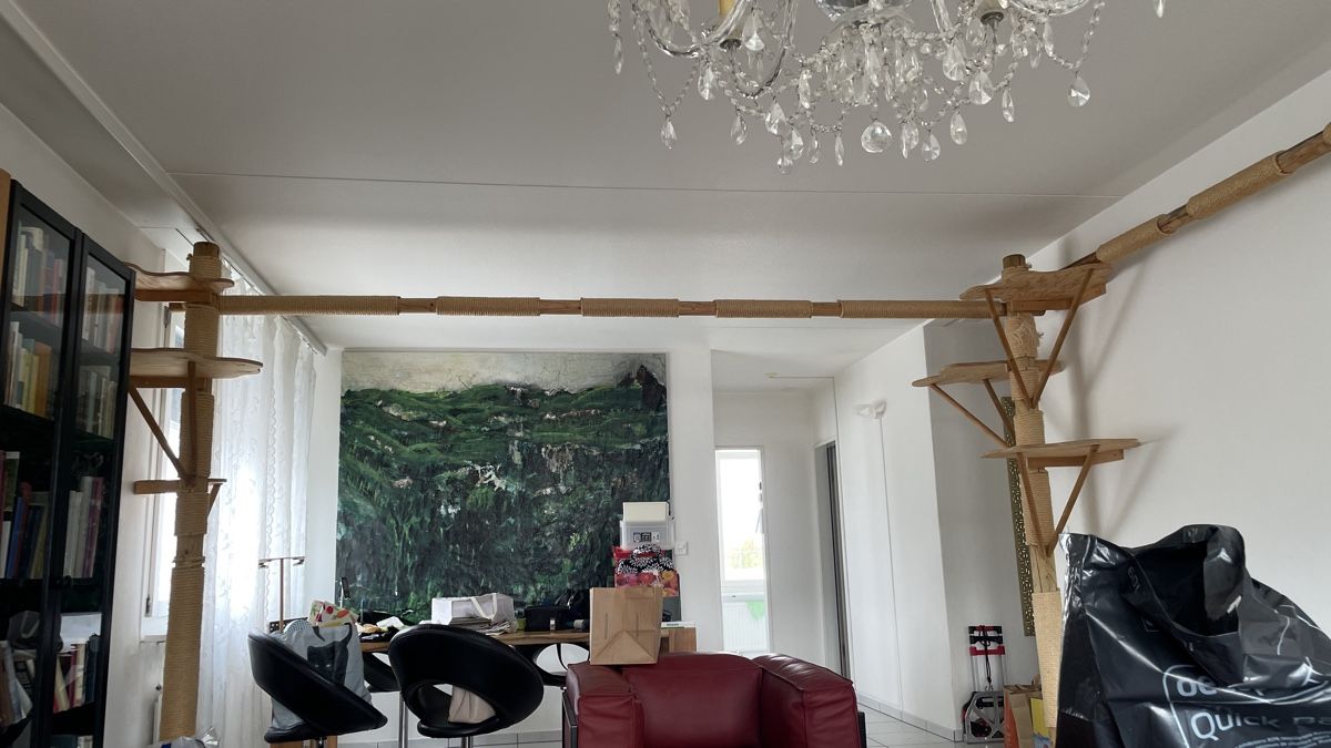 Tiragraffi: Katzenbaum Eigenbau, 3-teilig mit Verbindungsstegen – Usato da Zürich venduto da ast_9rkx