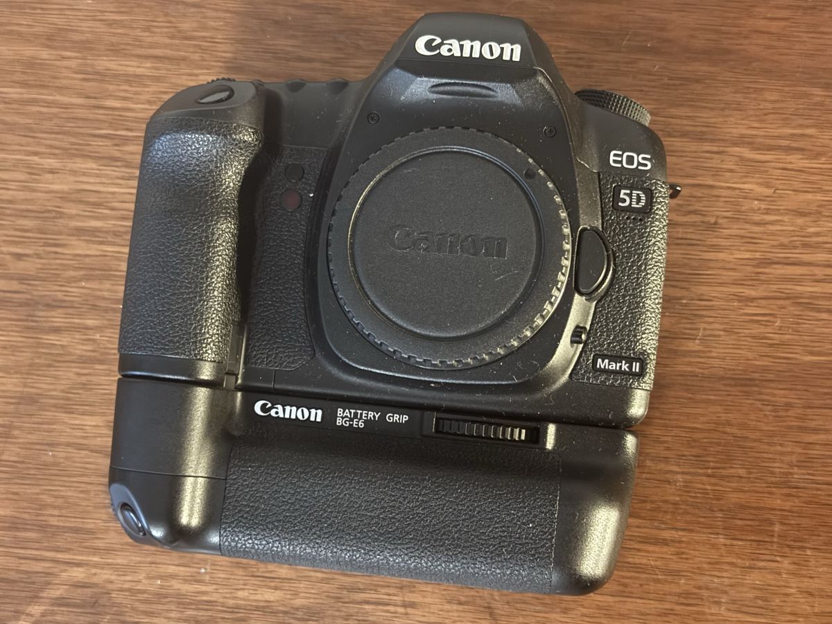 Canon Fotocamera: Canon EOS 5D Mark II Kamera 49k Shutter – Usato da Brugg AG venduto da 50sven 2
