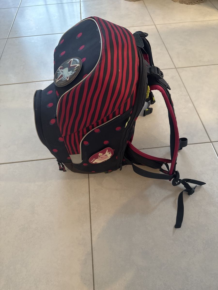Ergobag Borse & Zaini: Ergobag Schulrucksack mit Punktemuster - Top Zustand! – Usato da Rothenthurm venduto da Elliott05 3