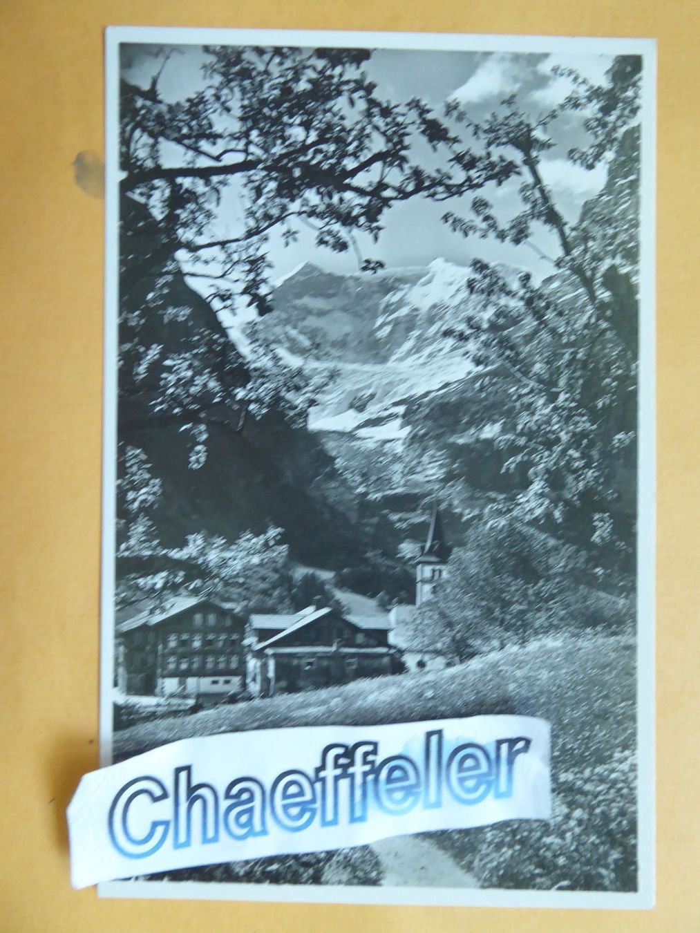 Cartes postales: Grindelwald, Fiescherhörner – Neuf (Voir description) à Zürich par Chaeffeler