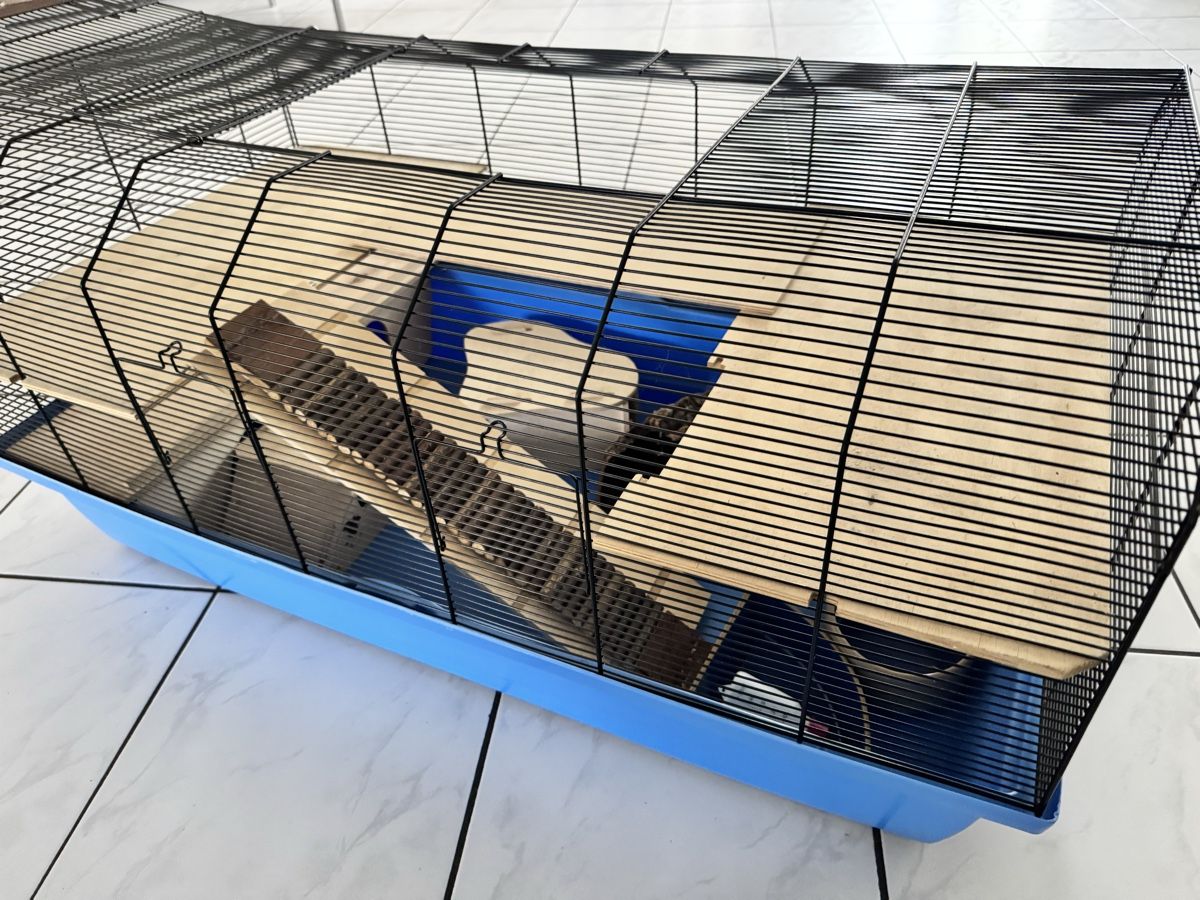 Gabbie, trasporto & Sicurezza: Hamsterkäfig inkl. Zubehör – Usato da Wallenwil venduto da Mutternehmerin 1