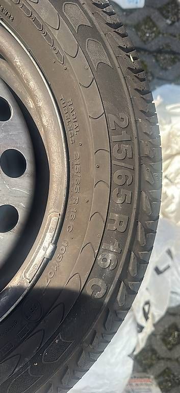 Cerchioni: Continental Sommer Felgen – Usato da Seon venduto da HikmetYil 2