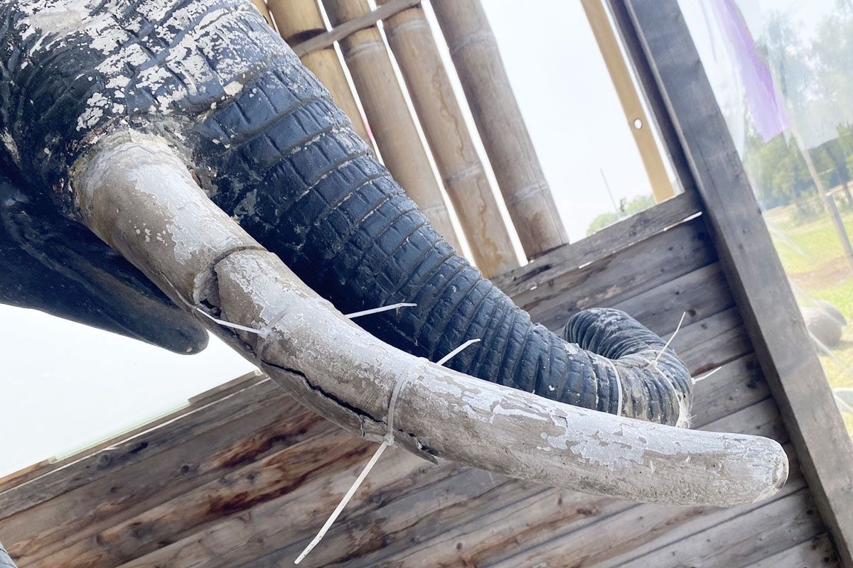 Statuette: Riesiger Elefant -  einzigartiges Dekostück – Usato da Ballwil venduto da ClassicGallery 5