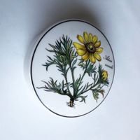 VILLEROY + BOCH*DOSE*