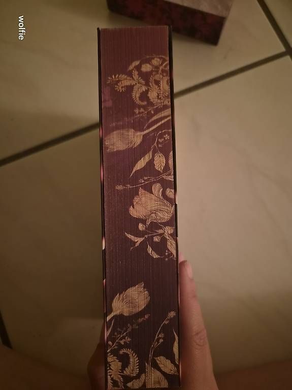 Bücher: Dark castle . Band 1  – Gebraucht aus Suhr von ste_w8yp 1