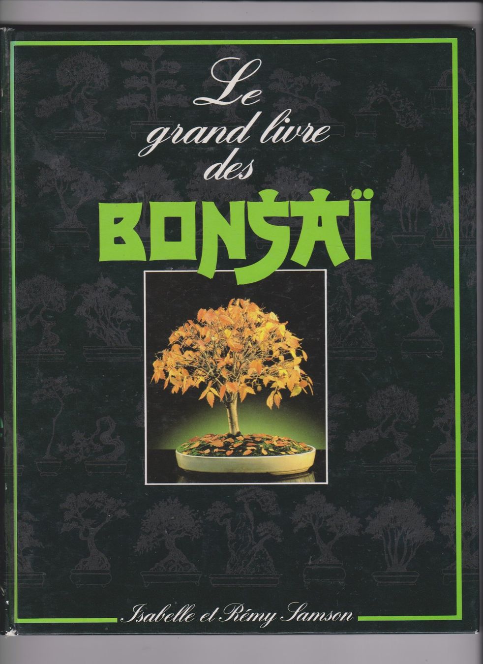 Libri: Le grand livre des Bonsaï, Samson – Usato da Bex venduto da Canouille